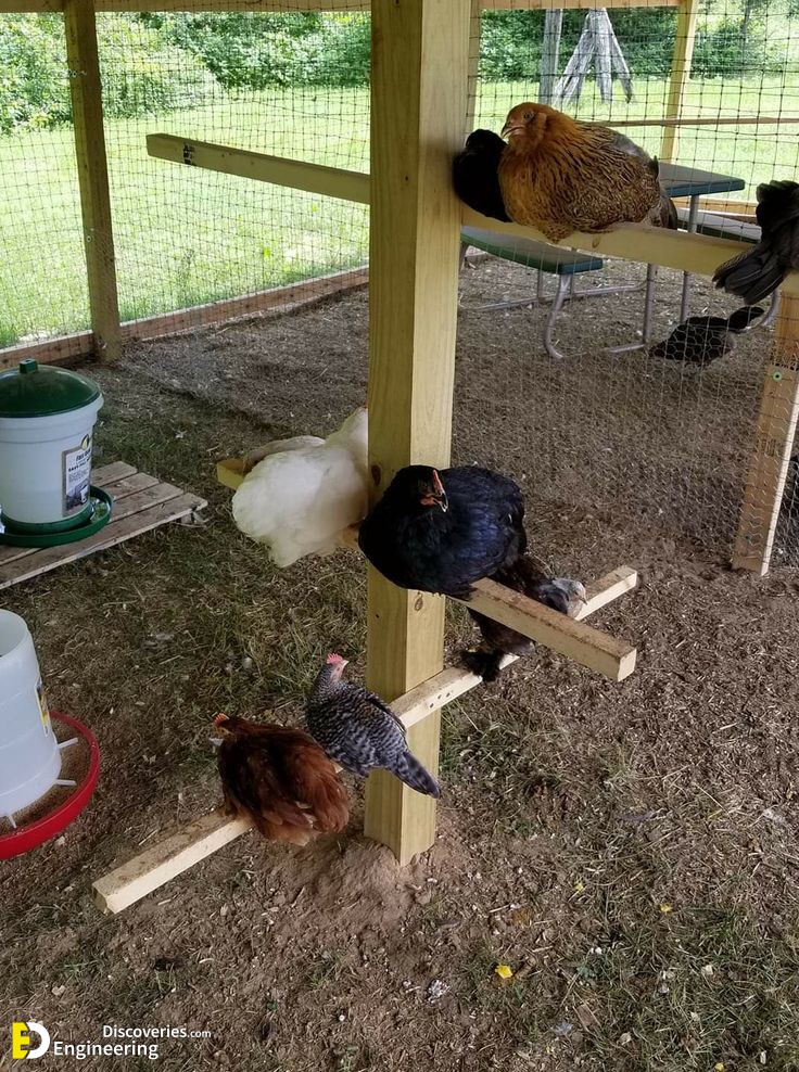 21-engineering-discoveries-diy-chicken-coop-plans-you-can-build-easy.jpg