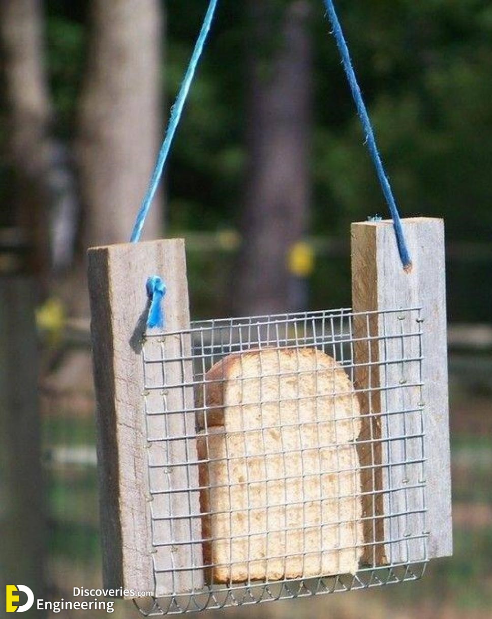 22-engineering-discoveries-diy-chicken-coop-plans-you-can-build-easy.jpg