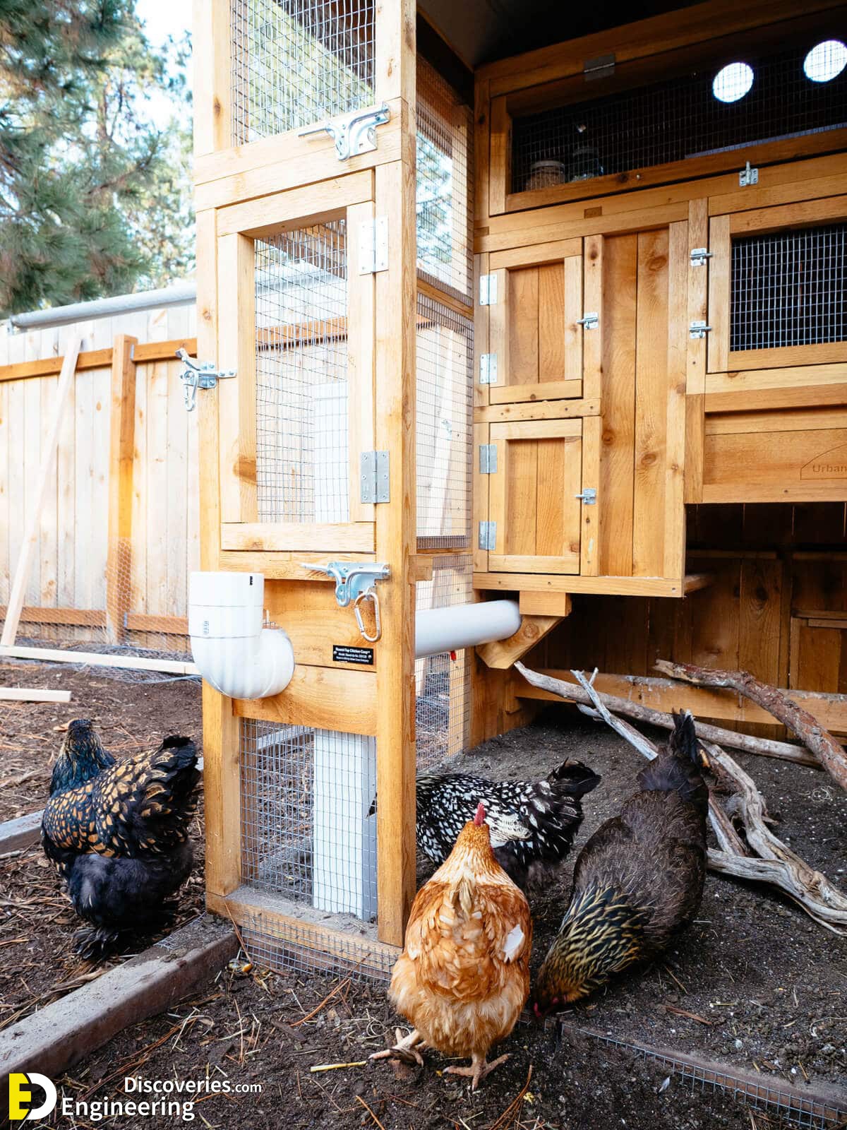 23-engineering-discoveries-diy-chicken-coop-plans-you-can-build-easy.jpg