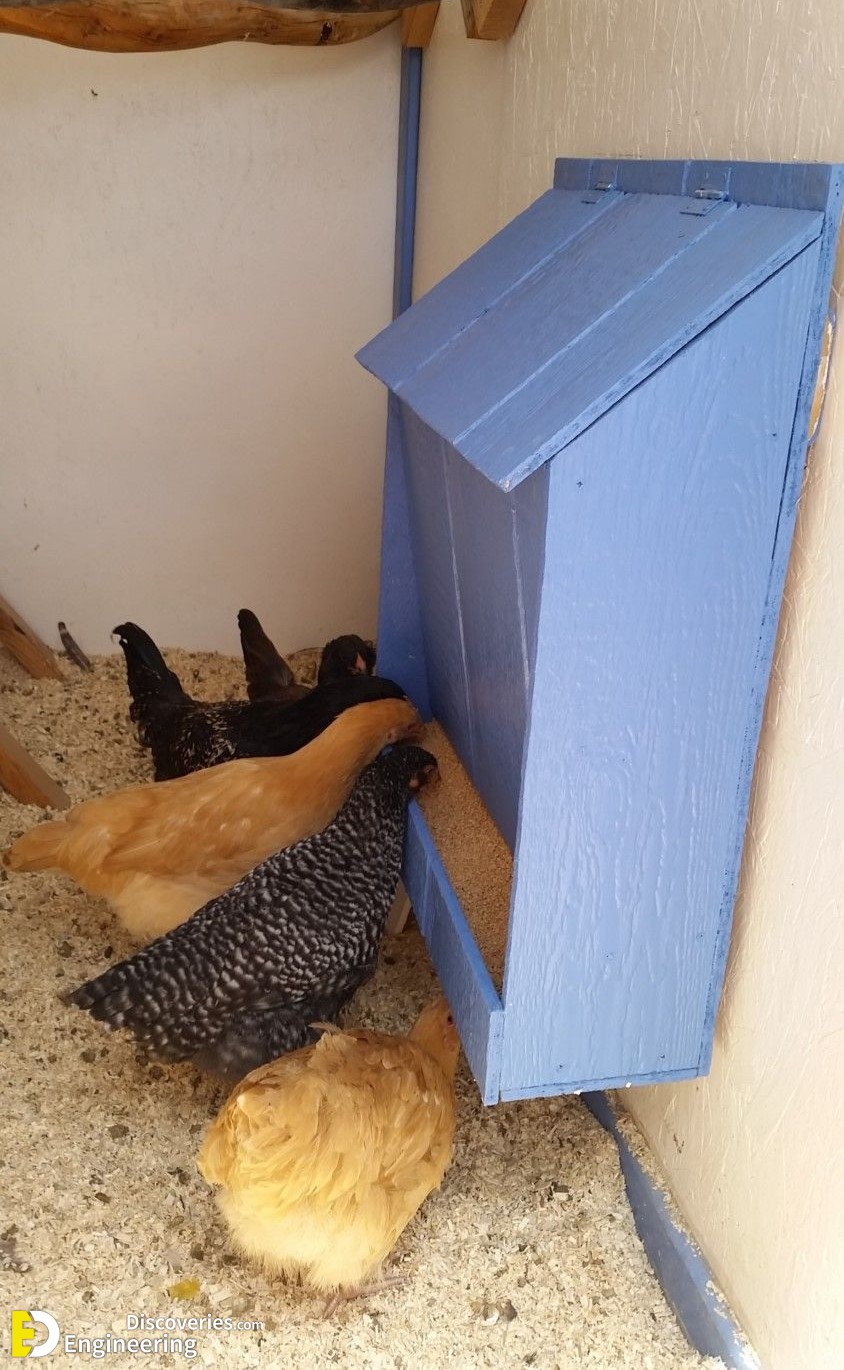 24-engineering-discoveries-diy-chicken-coop-plans-you-can-build-easy.jpg