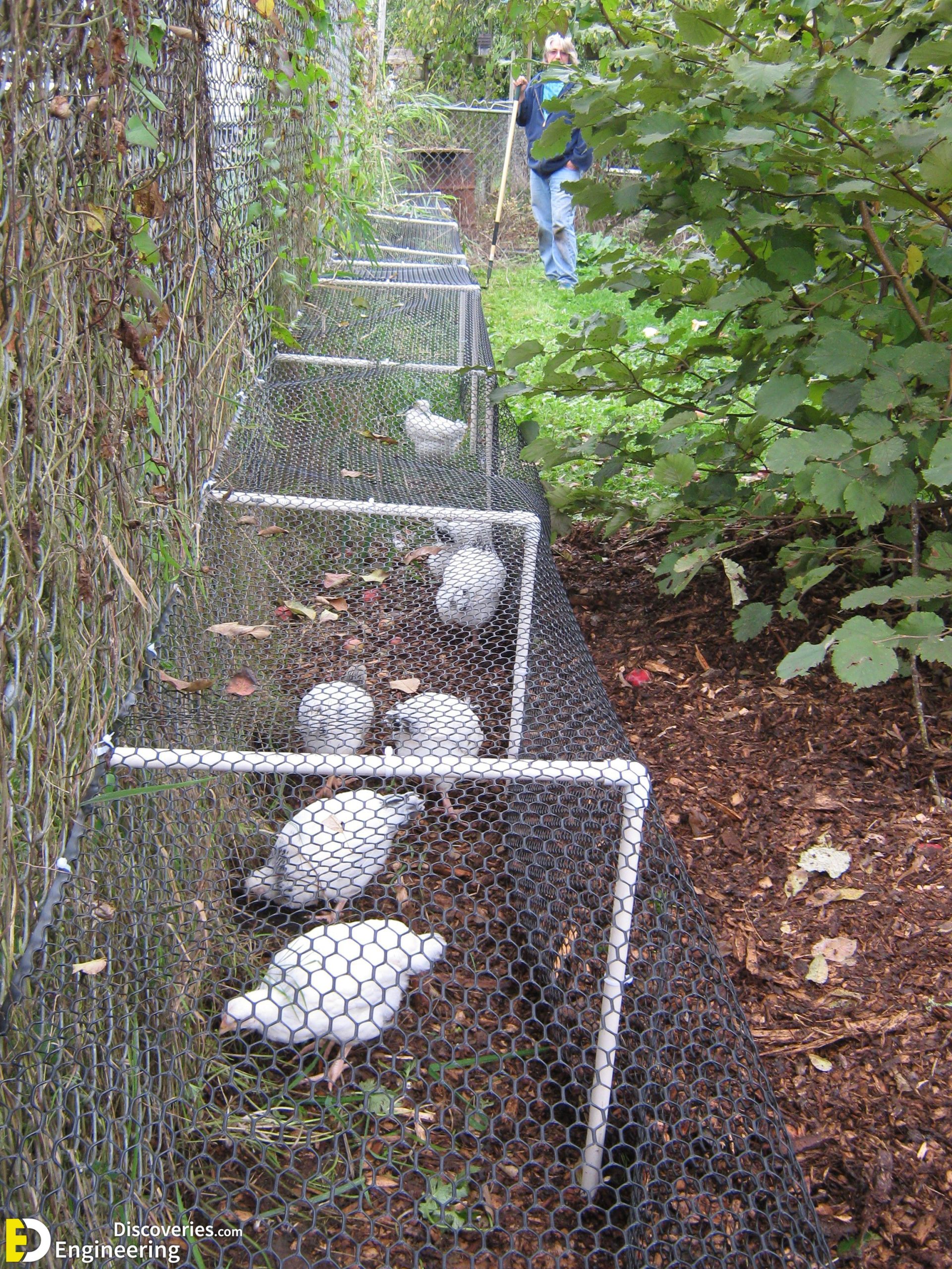 29-engineering-discoveries-diy-chicken-coop-plans-you-can-build-easy-scaled.jpg