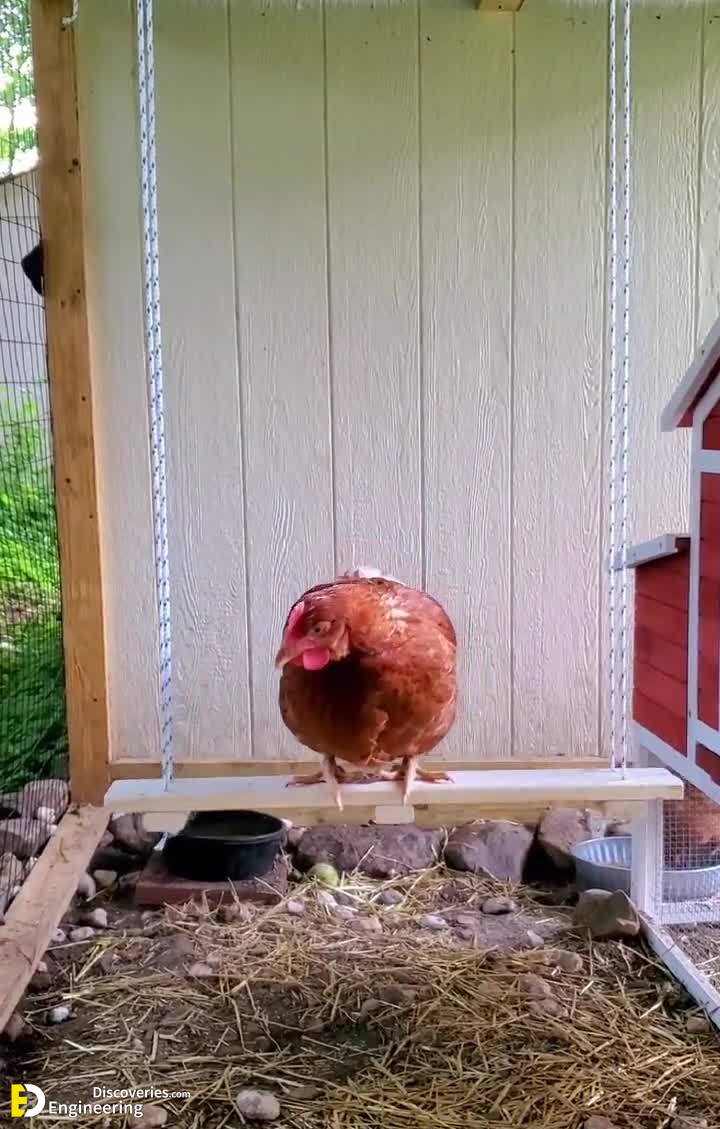 32-engineering-discoveries-diy-chicken-coop-plans-you-can-build-easy.jpg