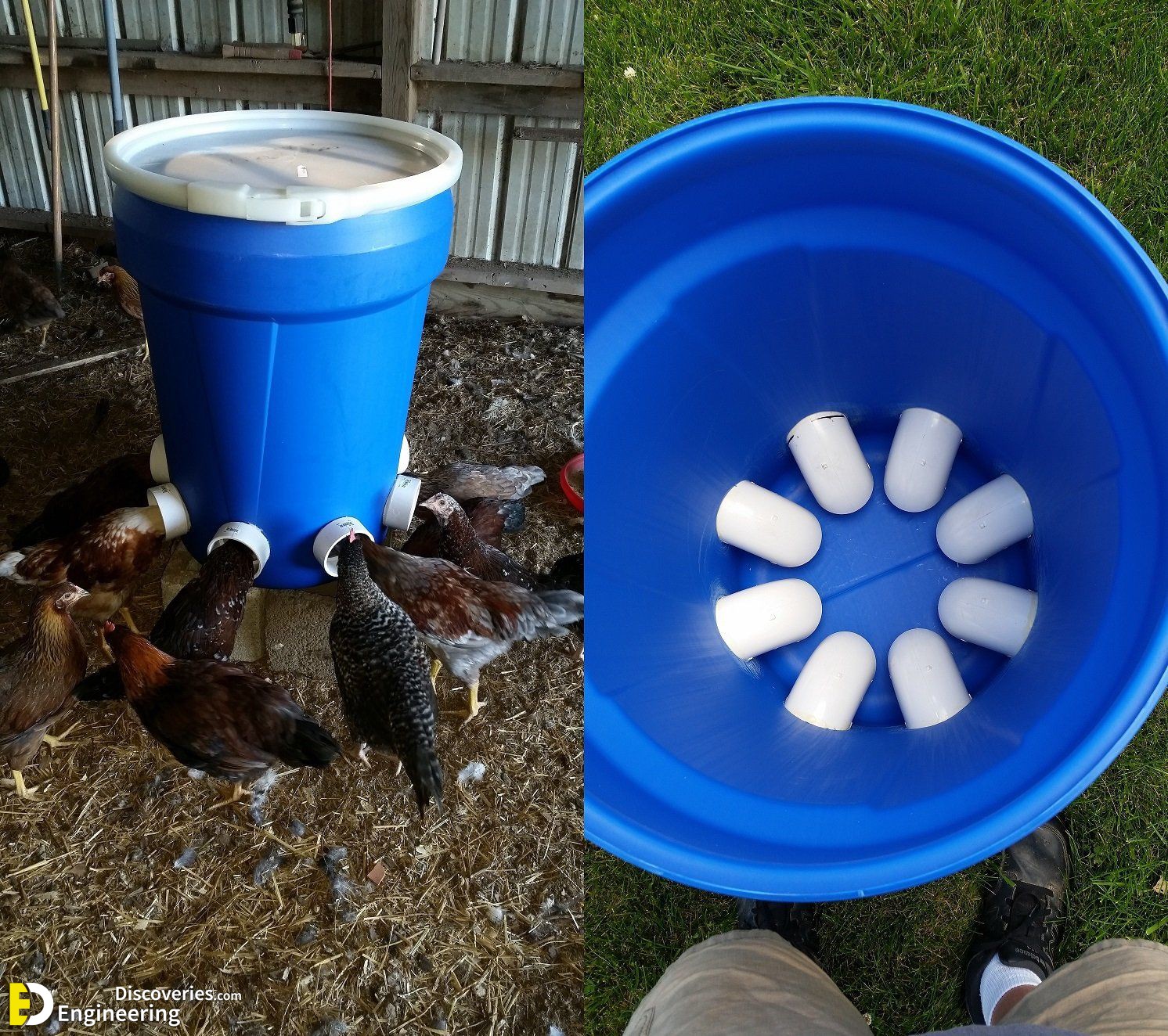 38-engineering-discoveries-diy-chicken-coop-plans-you-can-build-easy.jpg