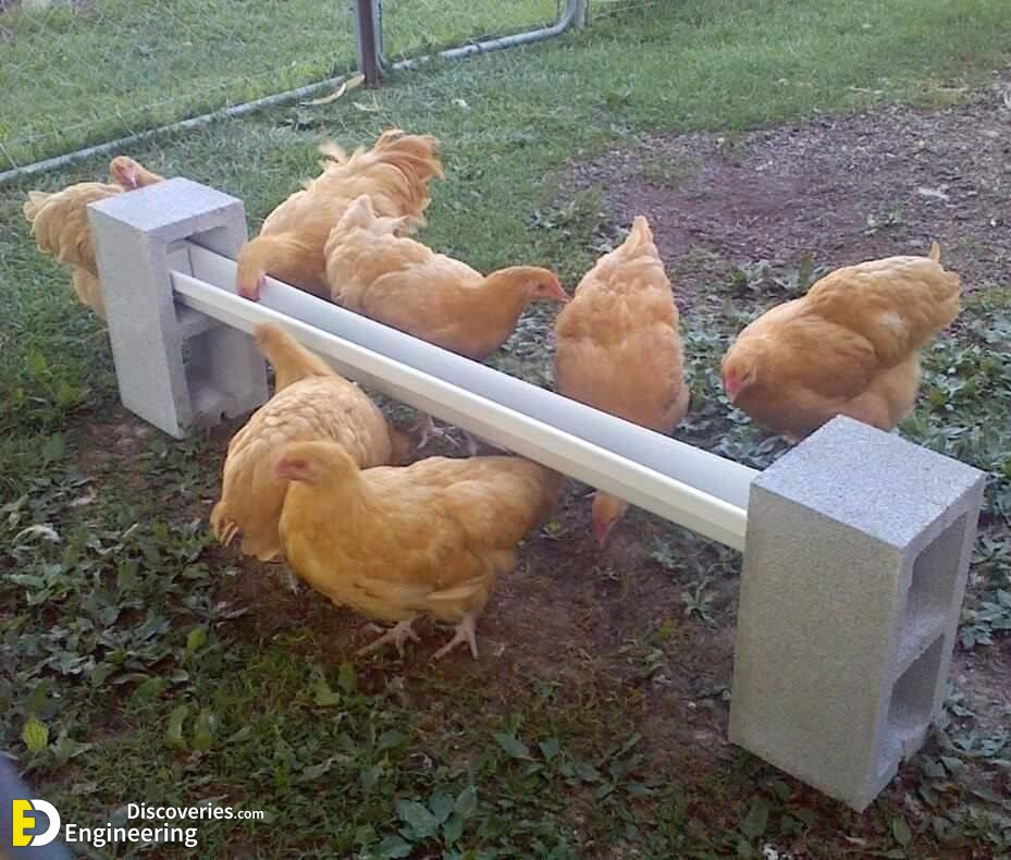 39-engineering-discoveries-diy-chicken-coop-plans-you-can-build-easy.jpg