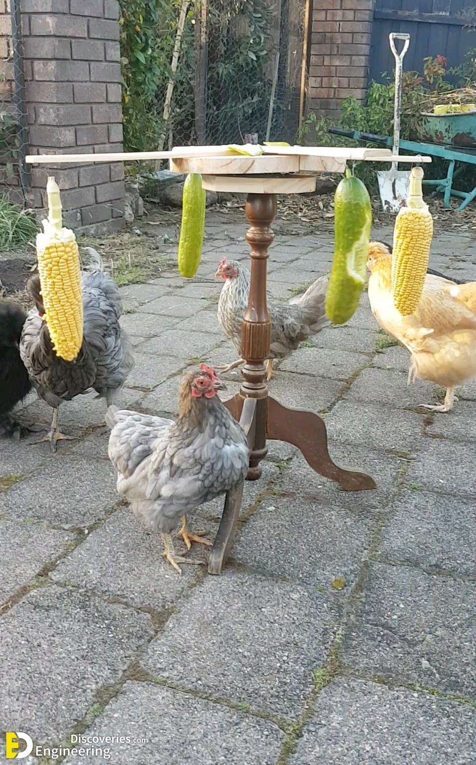 6-engineering-discoveries-diy-chicken-coop-plans-you-can-build-easy.jpg