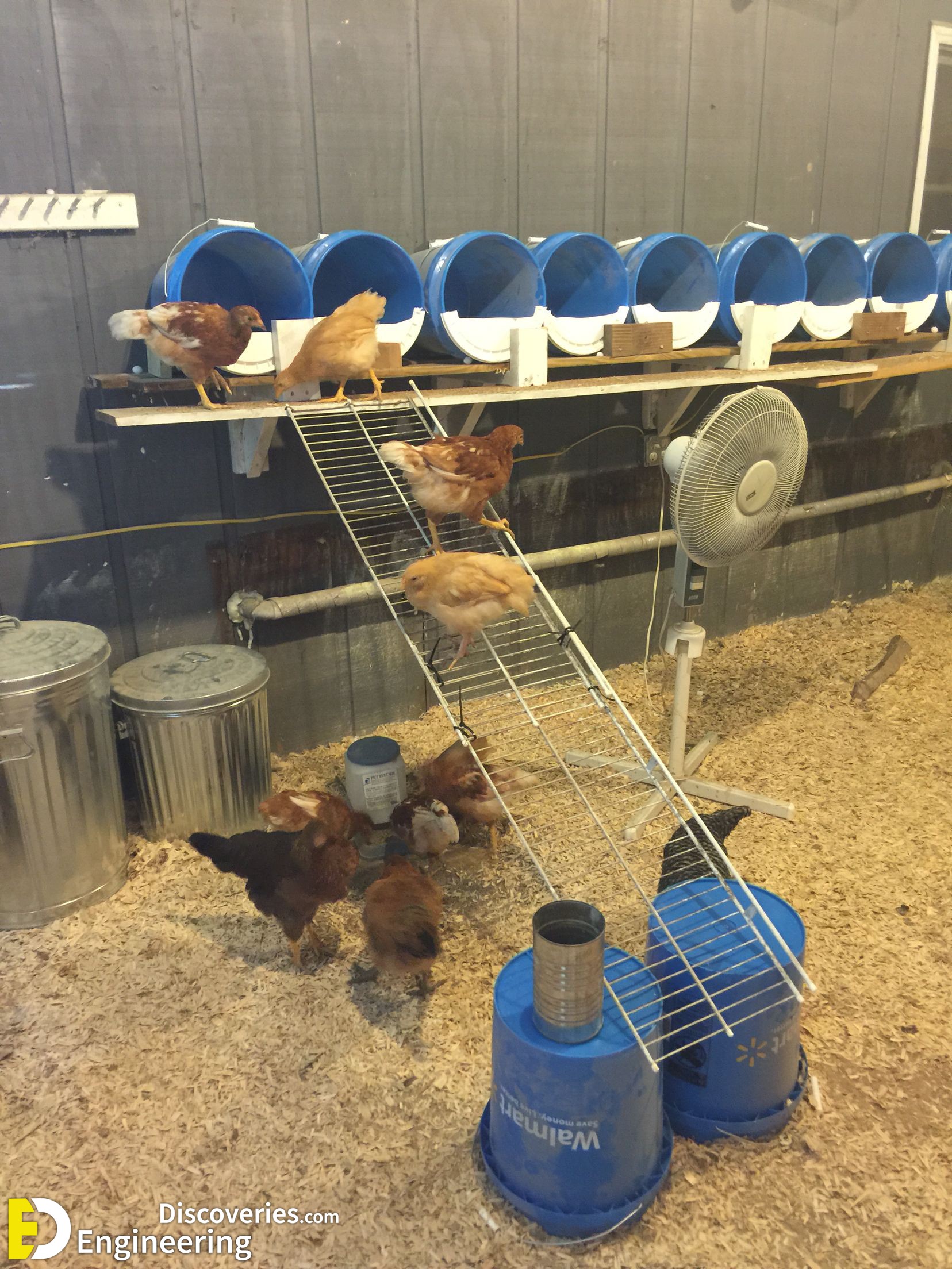 8-engineering-discoveries-diy-chicken-coop-plans-you-can-build-easy.jpg