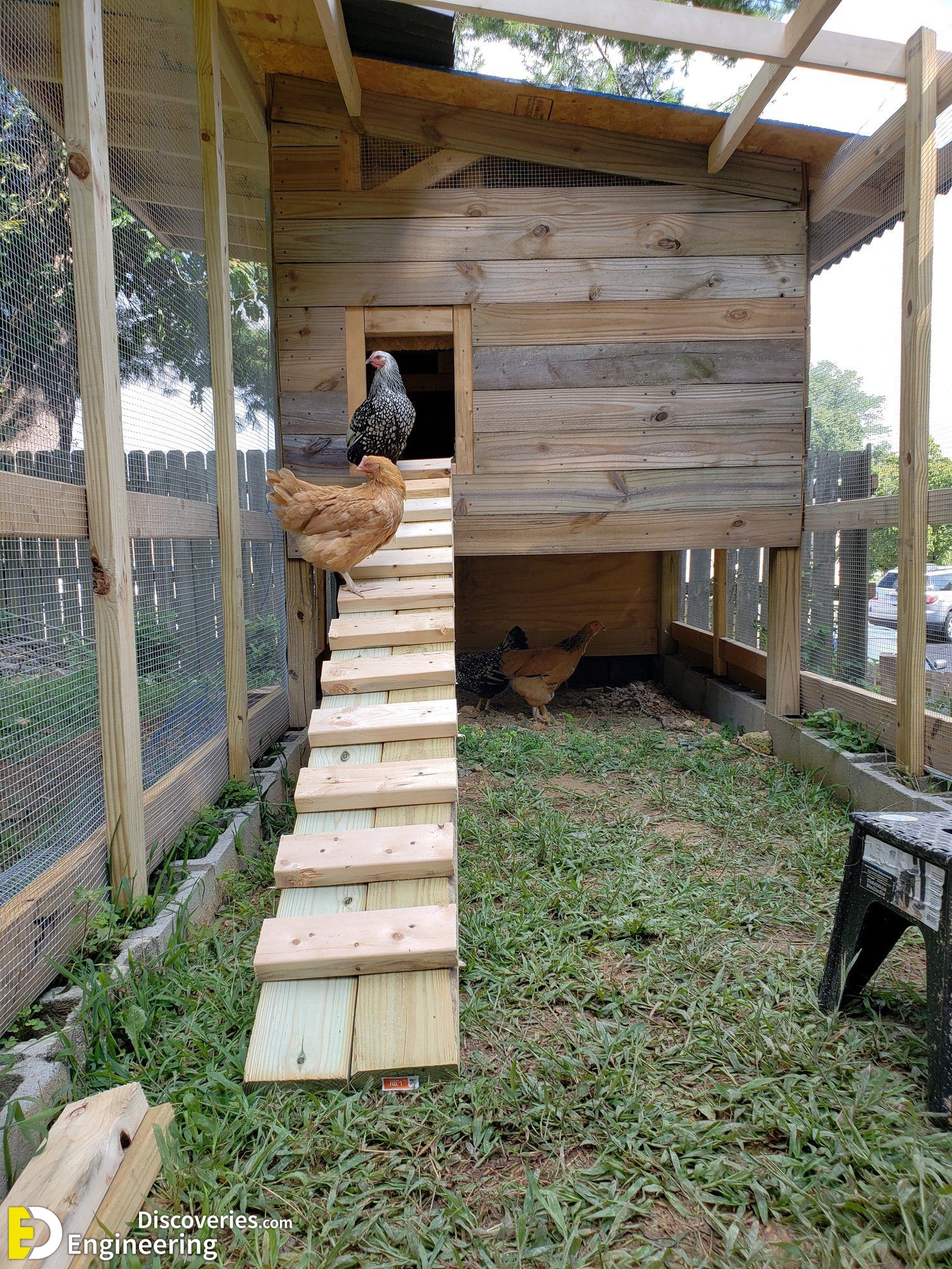 9-engineering-discoveries-diy-chicken-coop-plans-you-can-build-easy.jpg