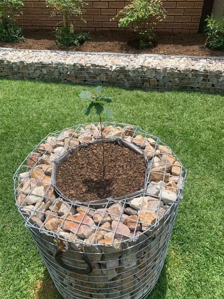 10-engineering-discoveries-amazing-gabion-ideas-for-your-outdoor-area.jpg