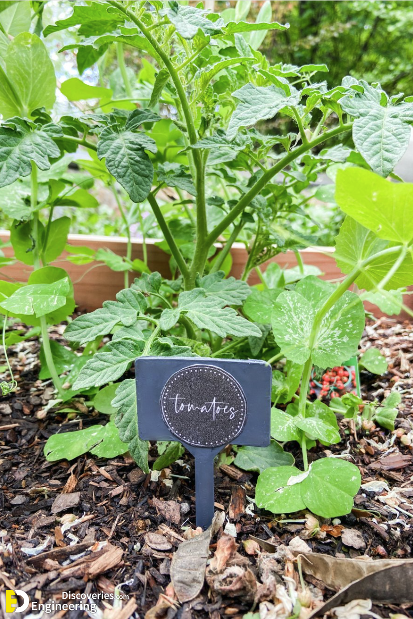 11-engineering-discoveries-budget-friendly-ways-to-create-a-dreamy-small-garden.png