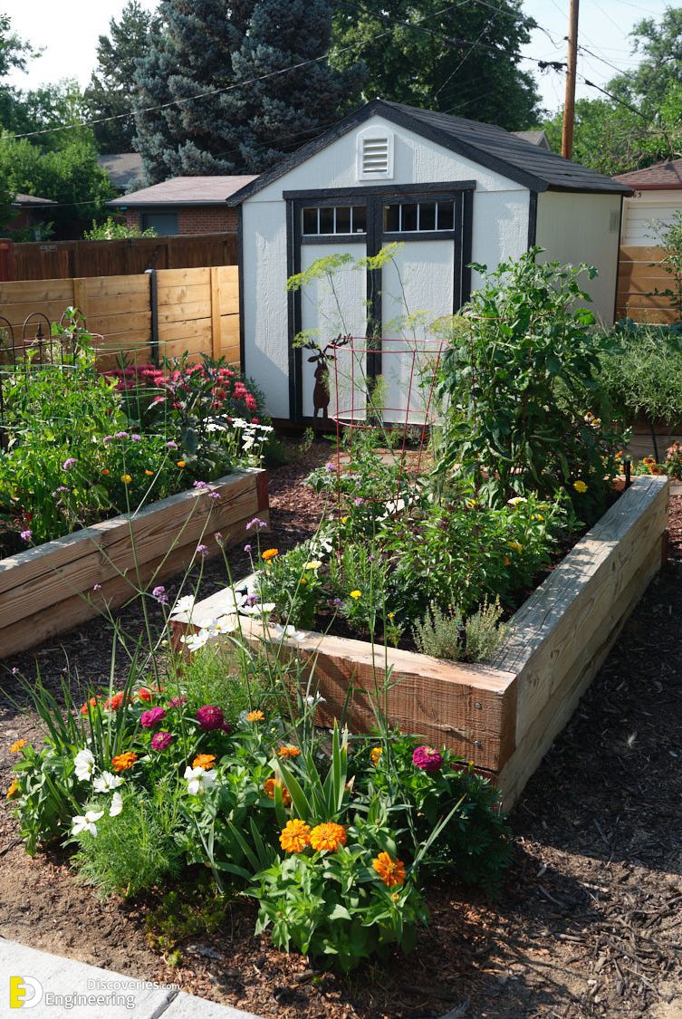 18-engineering-discoveries-budget-friendly-ways-to-create-a-dreamy-small-garden.jpg