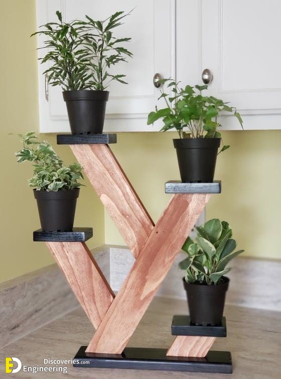 2-engineering-discoveries-stylish-plant-shelf-ideas-for-every-room-in-your-home.jpg