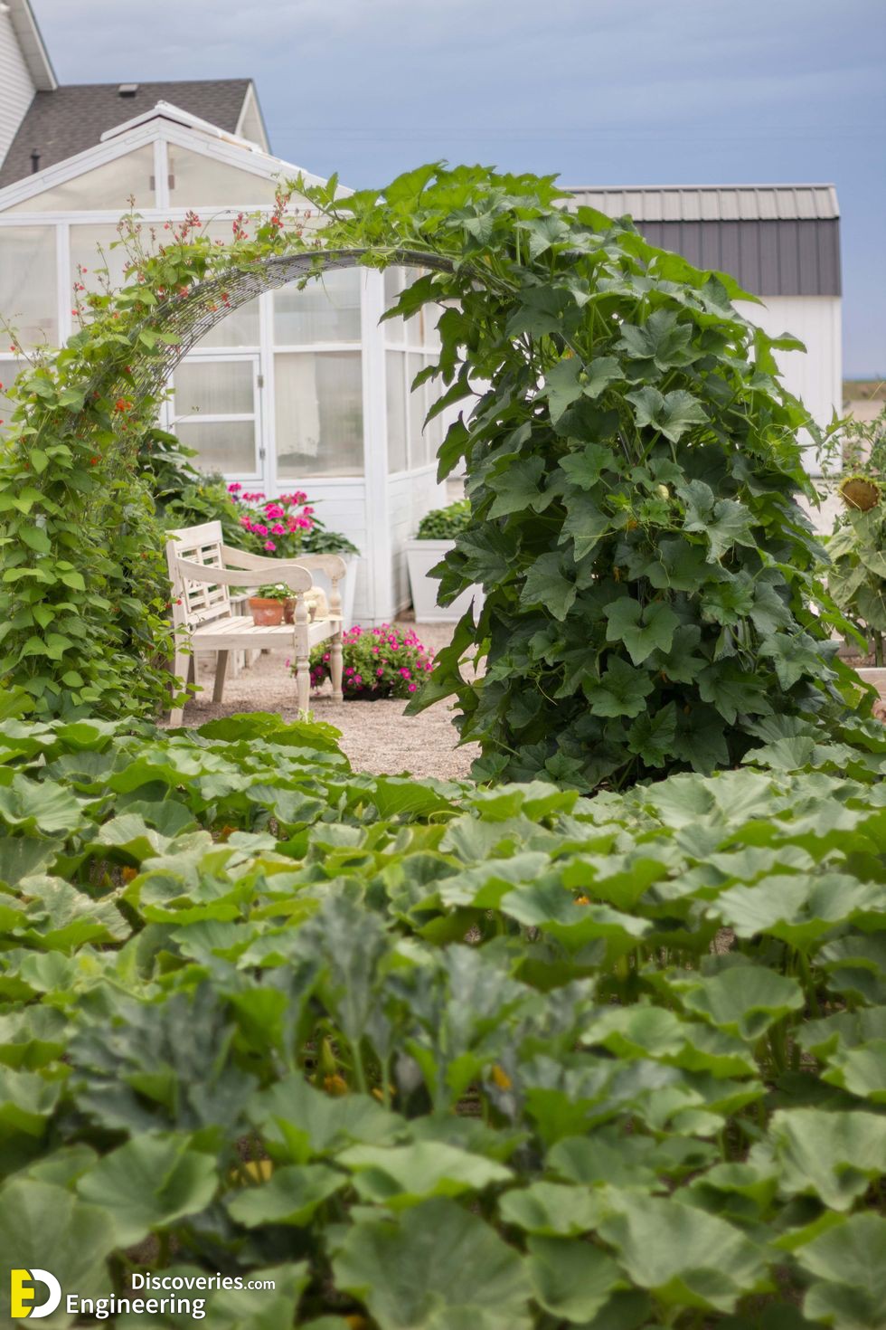 28-engineering-discoveries-budget-friendly-ways-to-create-a-dreamy-small-garden.jpeg