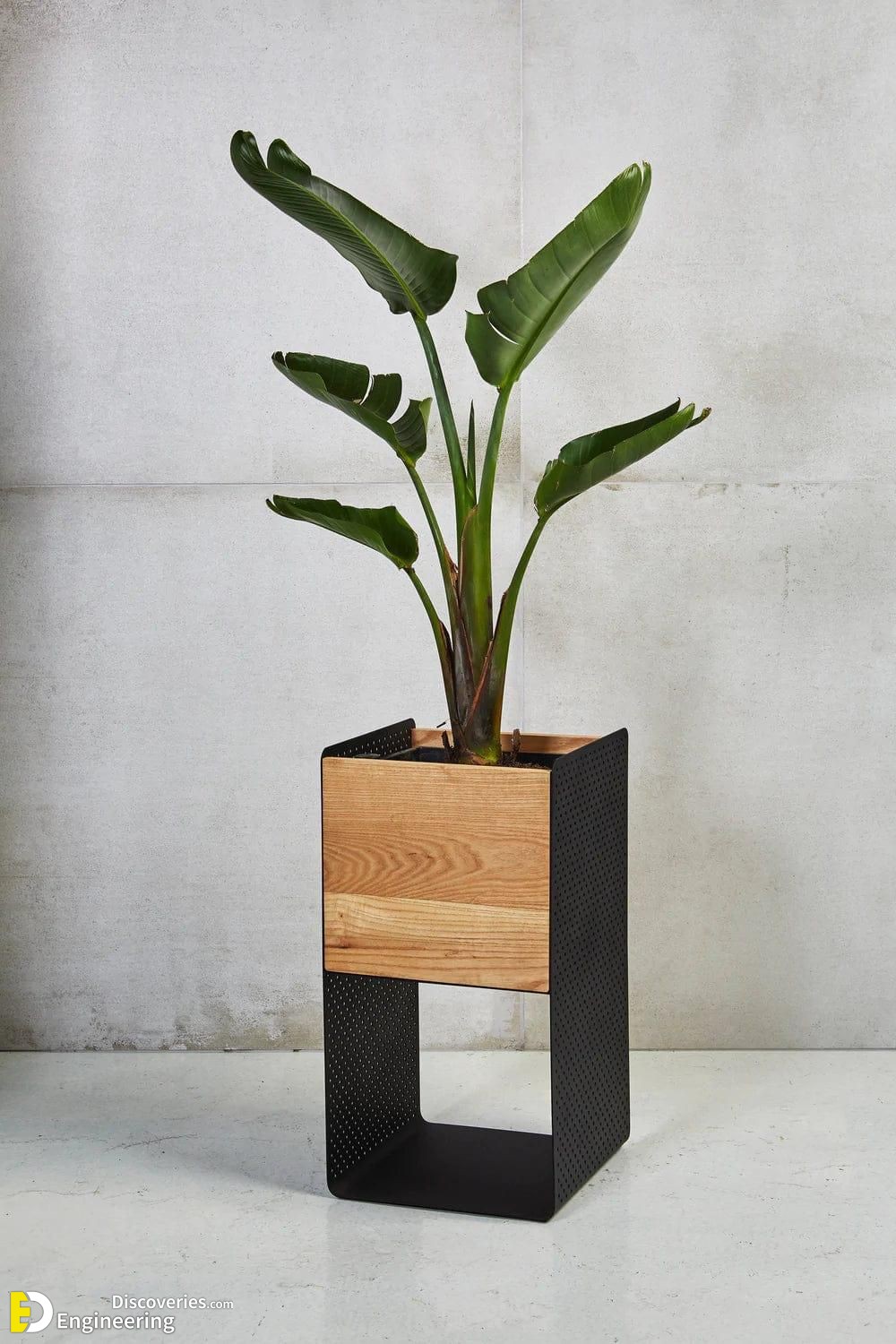 5-engineering-discoveries-stylish-plant-shelf-ideas-for-every-room-in-your-home.jpg
