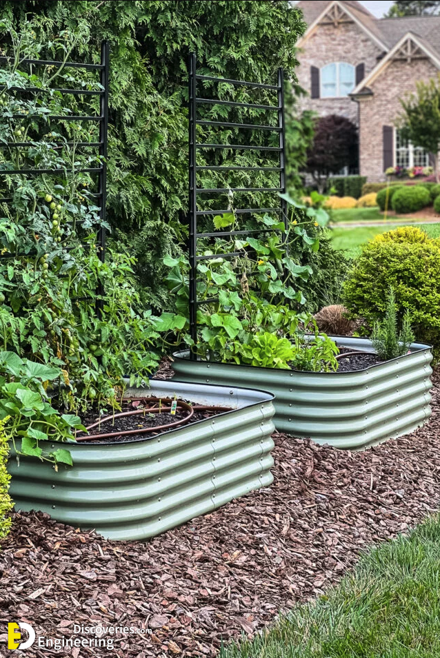 7-engineering-discoveries-budget-friendly-ways-to-create-a-dreamy-small-garden.png