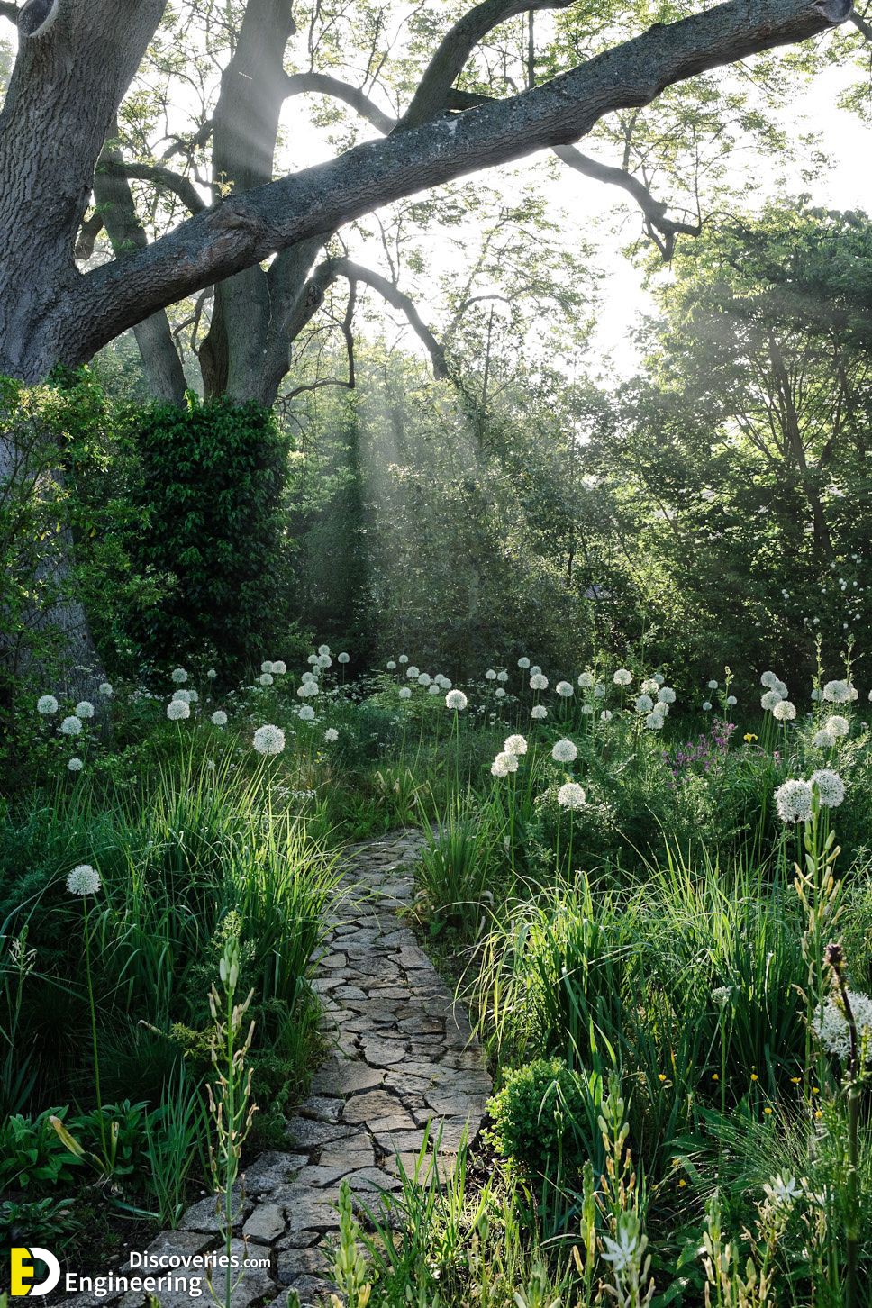 15-engineering-discoveries-creative-stone-pathway-designs-to-elevate-your-outdoor-space.jpg