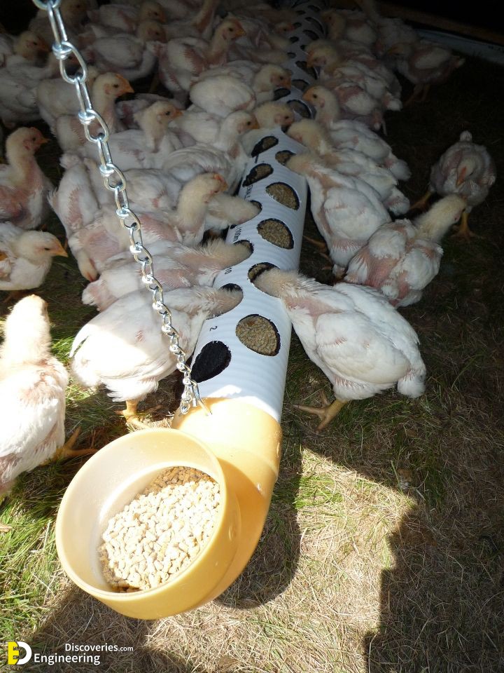 1-engineering-discoveries-creative-chicken-coop-ideas-youll-want-in-your-backyard.jpg