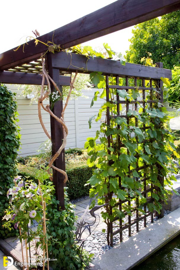 11-engineering-discoveries-29-dreamy-small-garden-ideas-to-transform-any-space.jpg