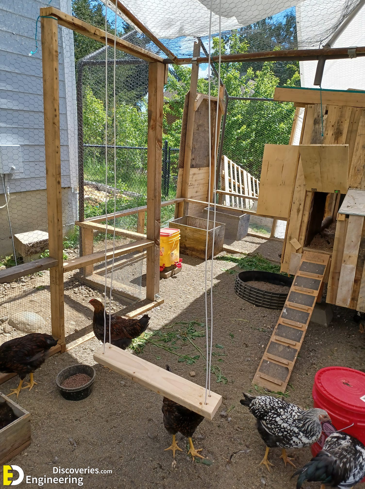 12-engineering-discoveries-creative-chicken-coop-ideas-youll-want-in-your-backyard.jpg