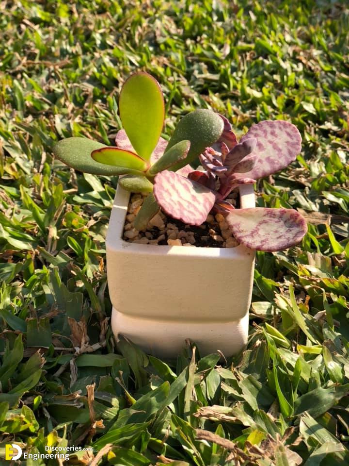 12-engineering-discoveries-transform-your-space-with-modern-planter-pots-stylish-decor-for-small-and-medium-plants.jpg