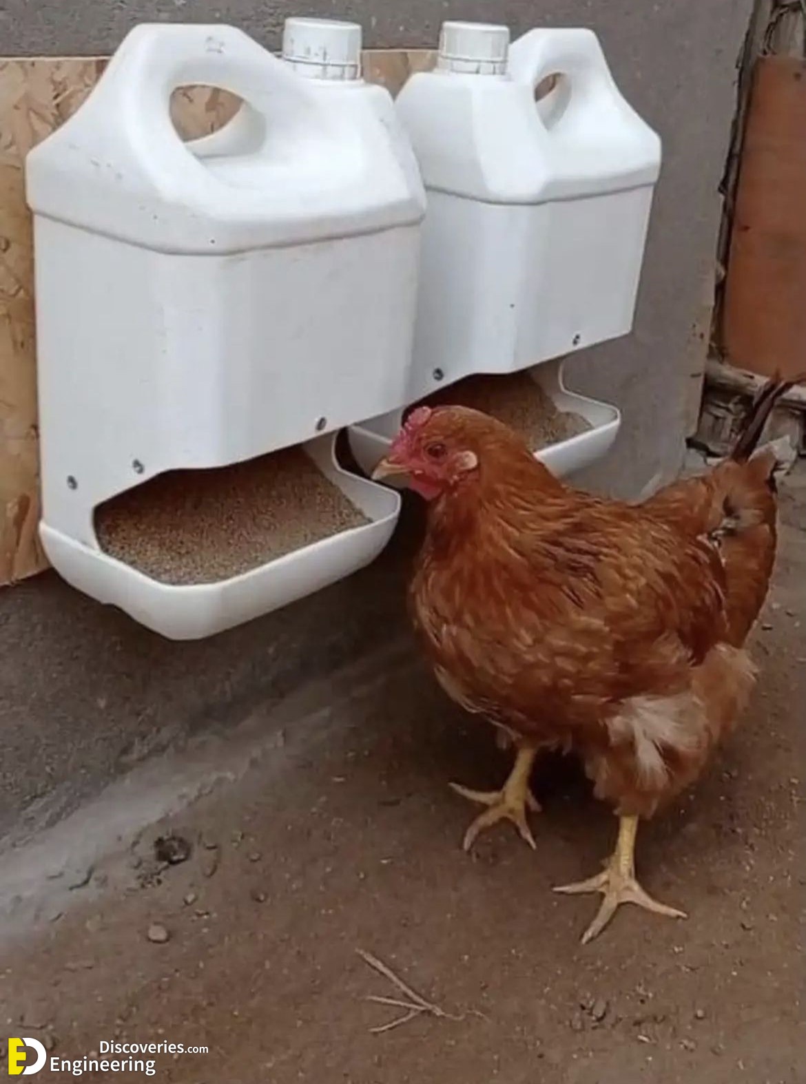 13-engineering-discoveries-creative-chicken-coop-ideas-youll-want-in-your-backyard.jpg