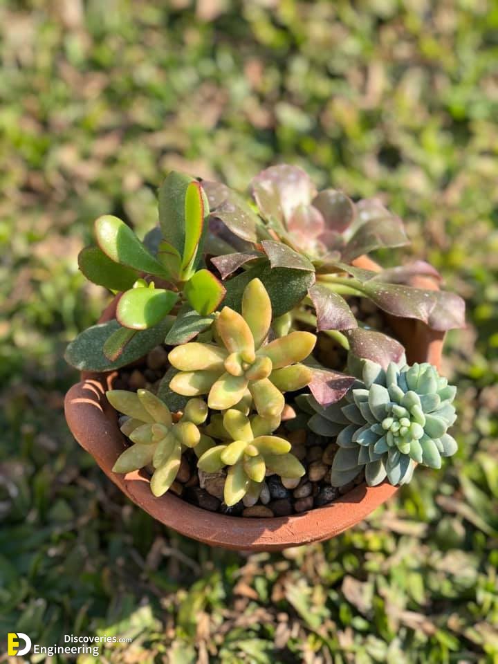 13-engineering-discoveries-transform-your-space-with-modern-planter-pots-stylish-decor-for-small-and-medium-plants.jpg