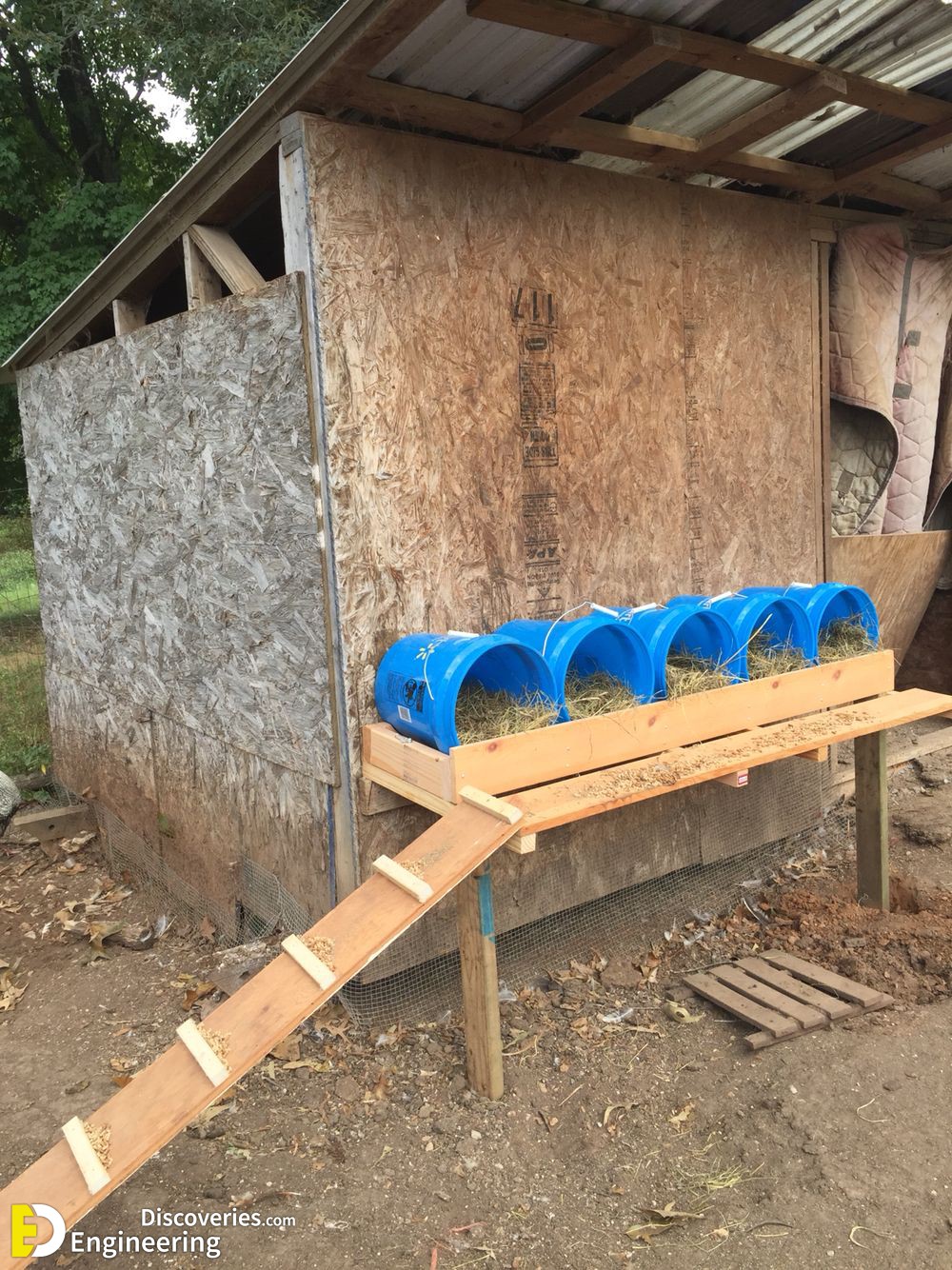 14-engineering-discoveries-creative-chicken-coop-ideas-youll-want-in-your-backyard.jpg