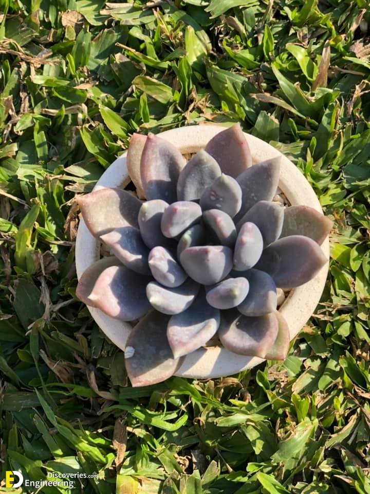 14-engineering-discoveries-transform-your-space-with-modern-planter-pots-stylish-decor-for-small-and-medium-plants.jpg
