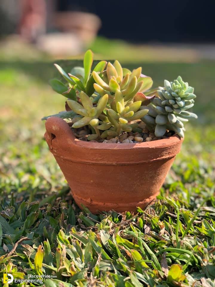15-engineering-discoveries-transform-your-space-with-modern-planter-pots-stylish-decor-for-small-and-medium-plants.jpg