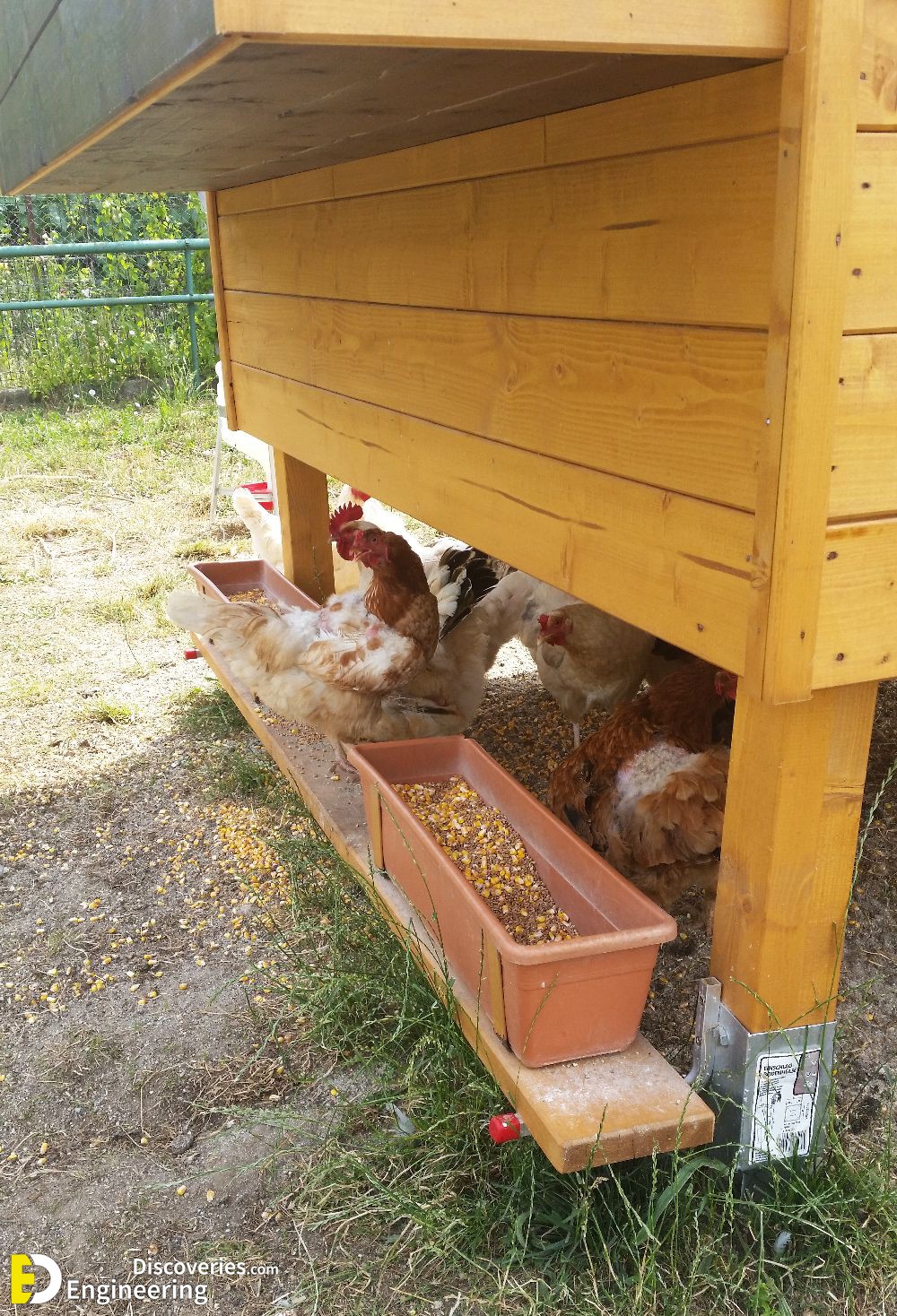 16-engineering-discoveries-creative-chicken-coop-ideas-youll-want-in-your-backyard.jpg
