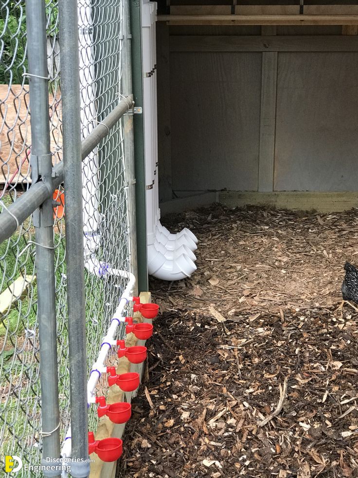 17-engineering-discoveries-creative-chicken-coop-ideas-youll-want-in-your-backyard.jpg