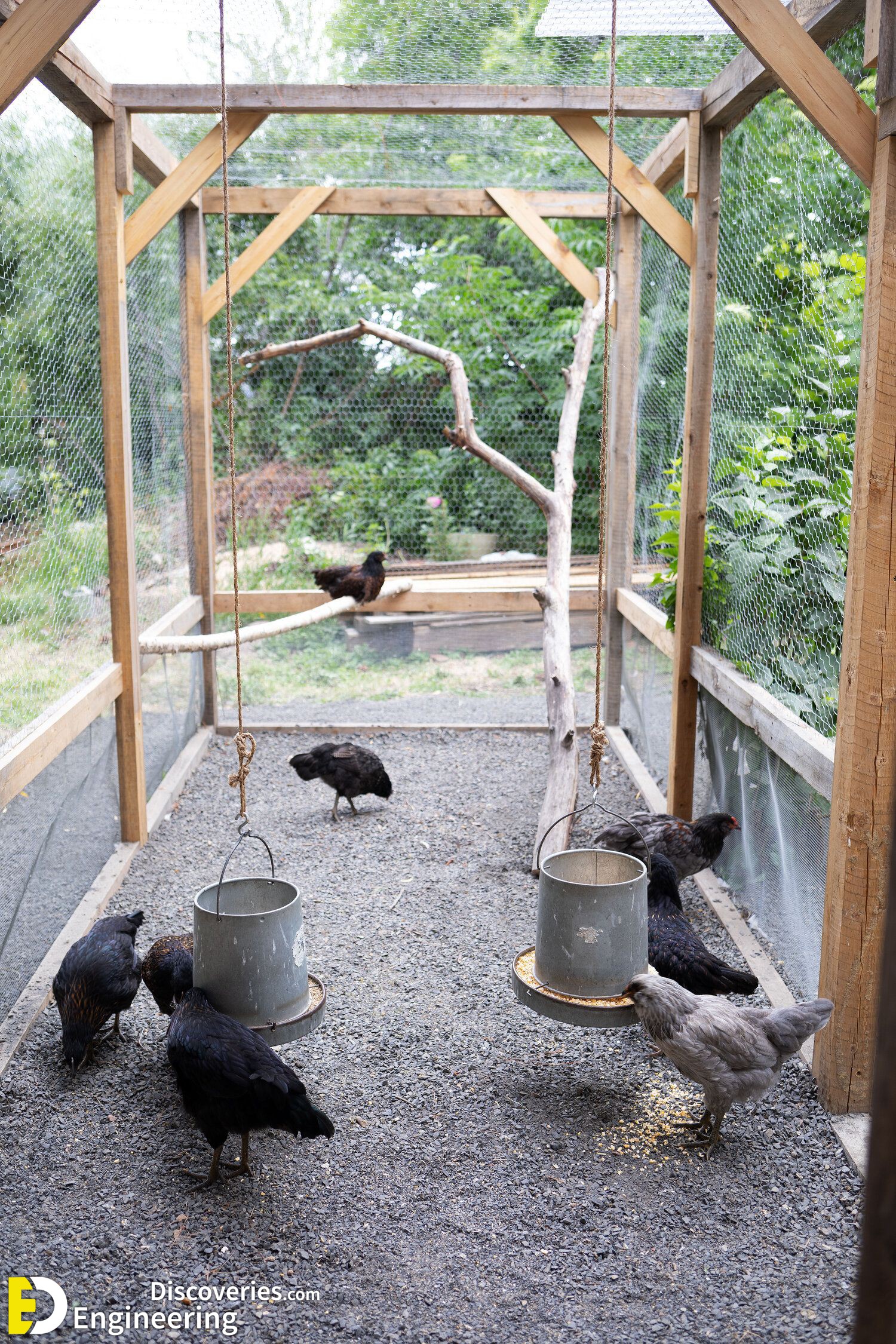 18-engineering-discoveries-creative-chicken-coop-ideas-youll-want-in-your-backyard.jpg