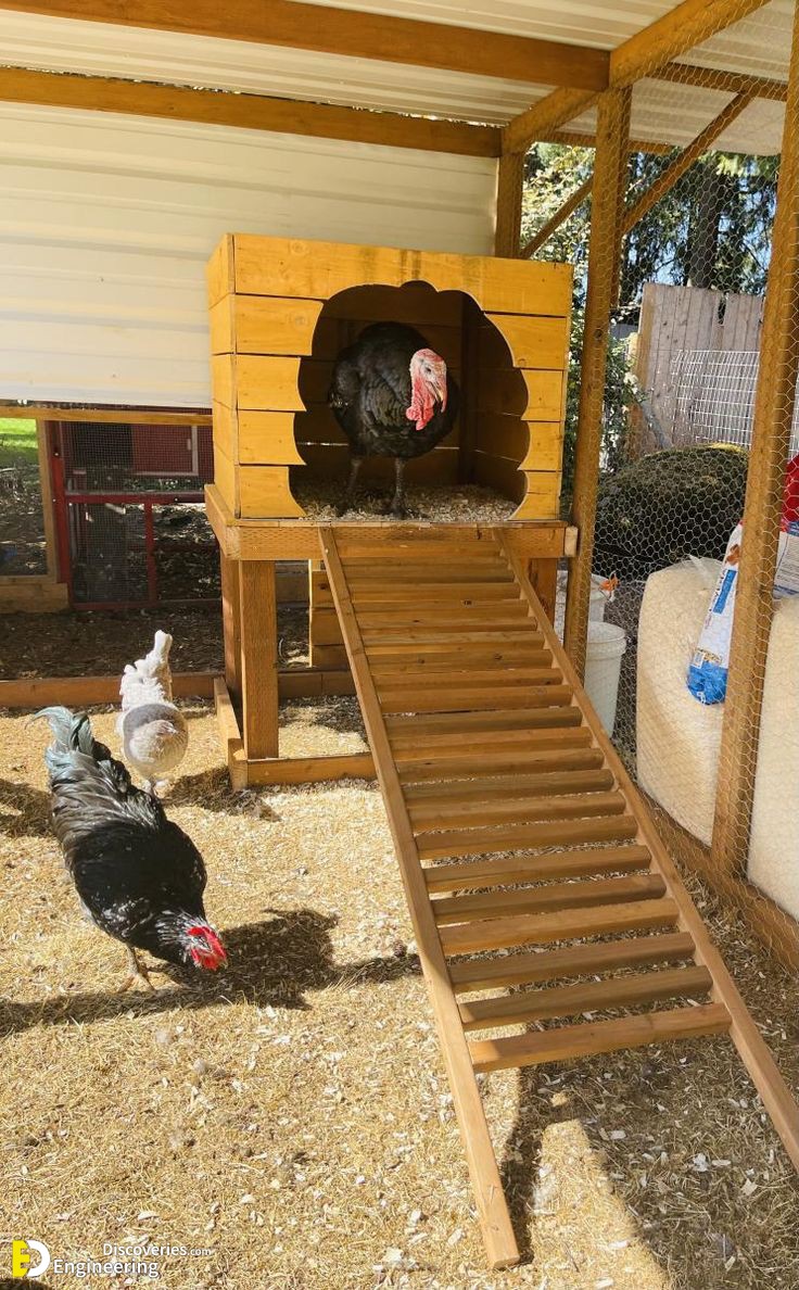 2-engineering-discoveries-creative-chicken-coop-ideas-youll-want-in-your-backyard.jpg