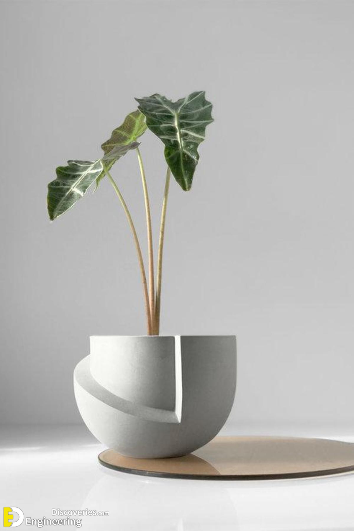 2-engineering-discoveries-transform-your-space-with-modern-planter-pots-stylish-decor-for-small-and-medium-plants.jpg