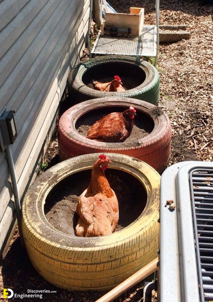 22-engineering-discoveries-creative-chicken-coop-ideas-youll-want-in-your-backyard.jpg