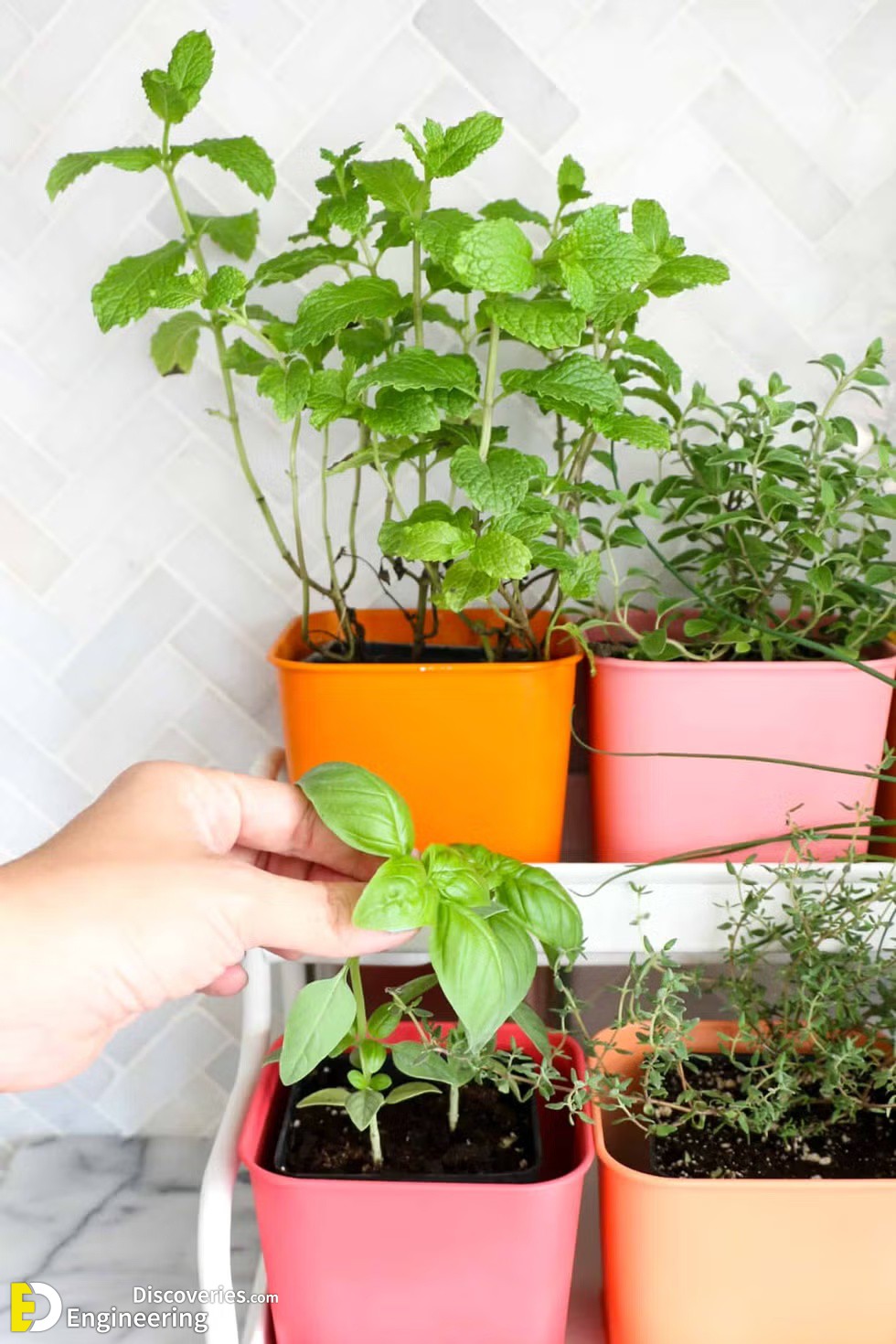 24-engineering-discoveries-29-dreamy-small-garden-ideas-to-transform-any-space.jpg