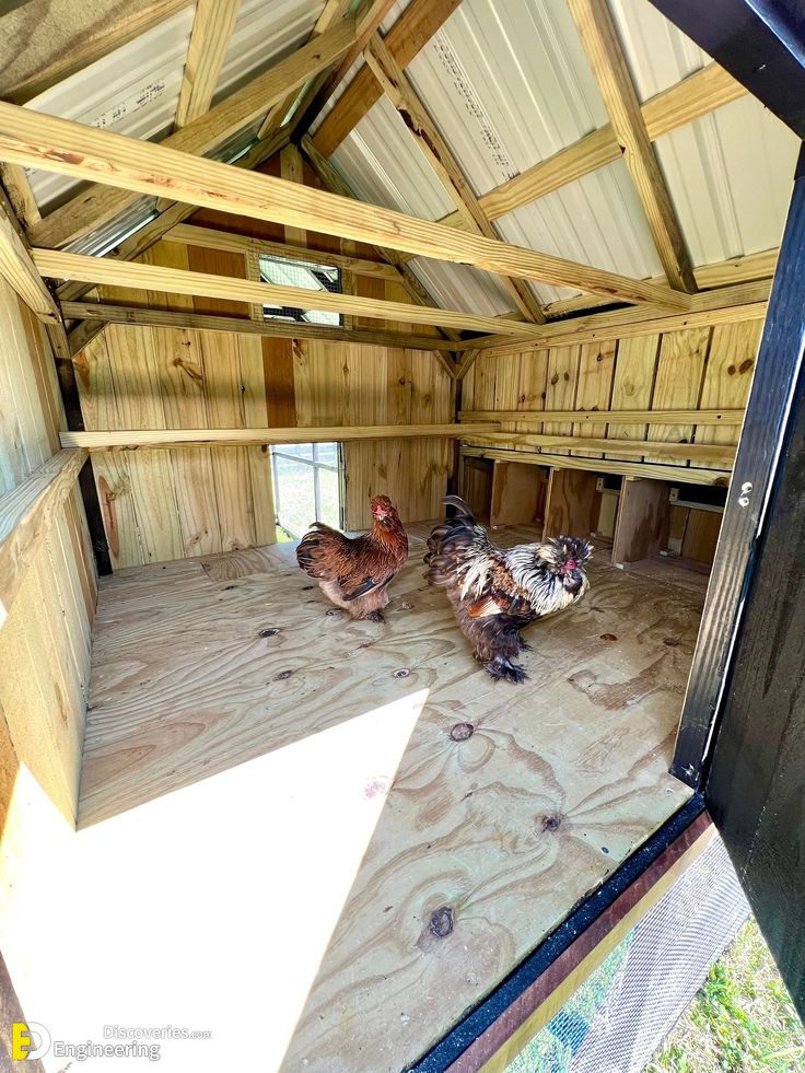 24-engineering-discoveries-creative-chicken-coop-ideas-youll-want-in-your-backyard.jpg