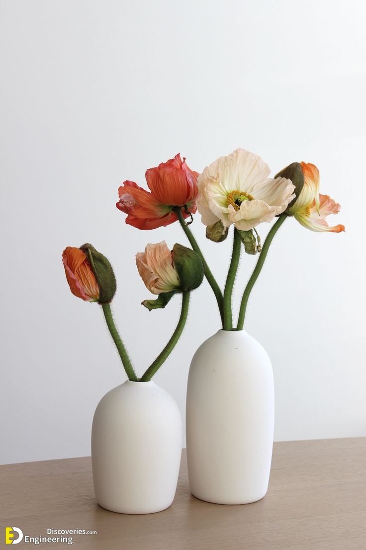 3-engineering-discoveries-transform-your-space-with-modern-planter-pots-stylish-decor-for-small-and-medium-plants.jpg