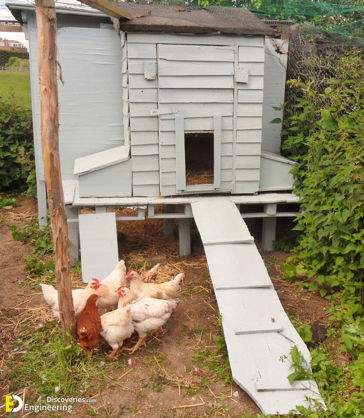 4-engineering-discoveries-creative-chicken-coop-ideas-youll-want-in-your-backyard.jpg