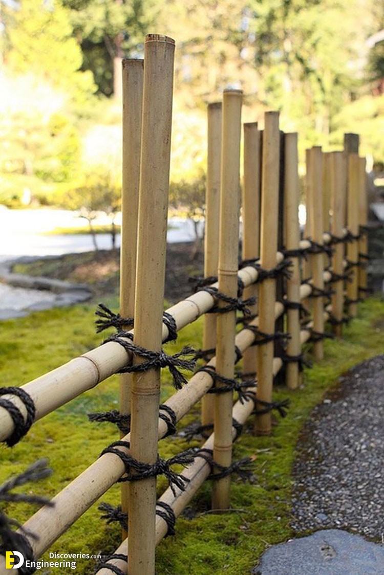 4-engineering-discoveries-unique-bamboo-garden-ideas-that-will-make-your-backyard-stand-out-1.jpg