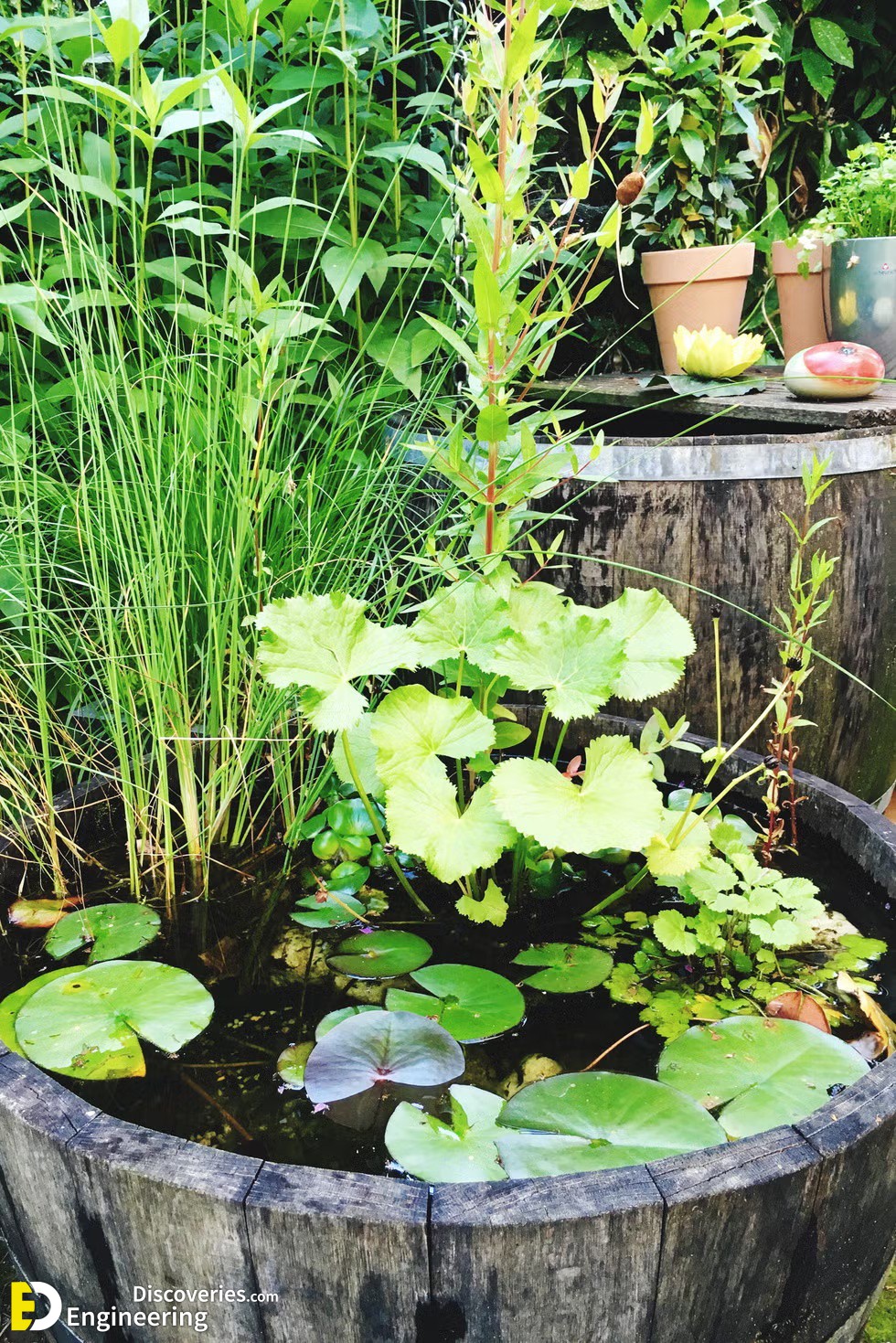 5-engineering-discoveries-29-dreamy-small-garden-ideas-to-transform-any-space.jpg