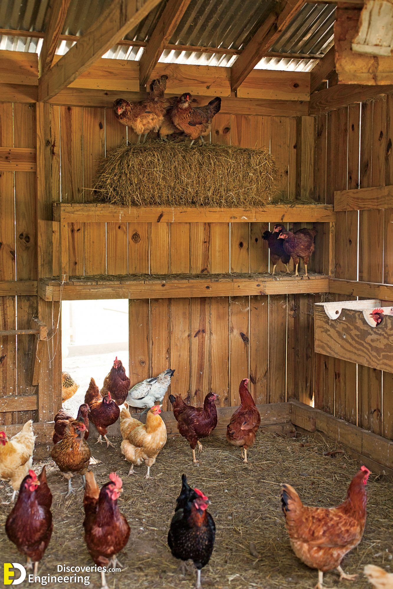 5-engineering-discoveries-creative-chicken-coop-ideas-youll-want-in-your-backyard.jpg