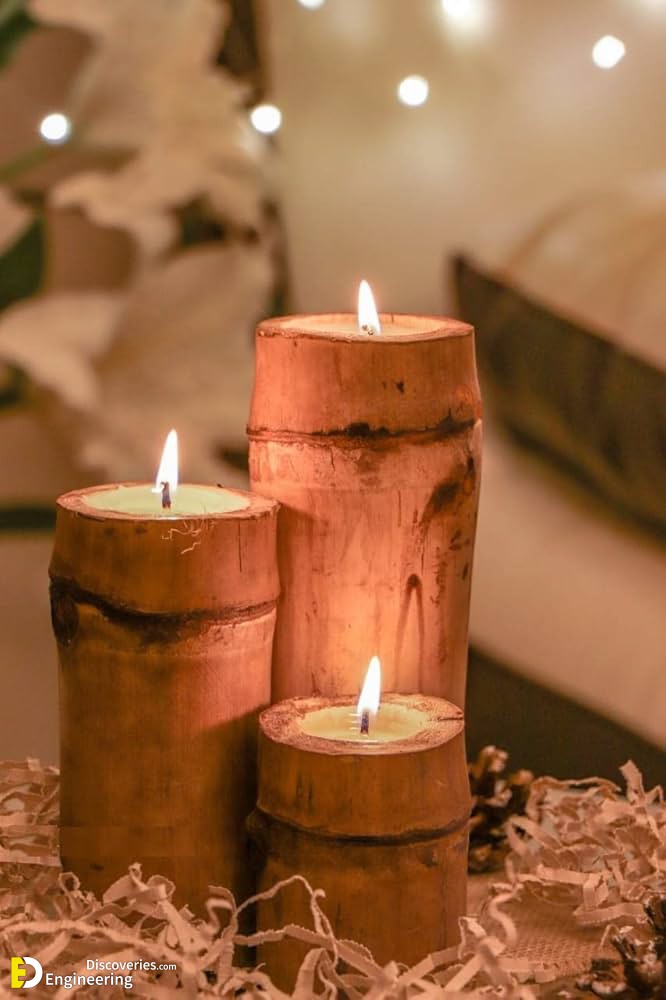 5-engineering-discoveries-unique-bamboo-garden-ideas-that-will-make-your-backyard-stand-out-1.jpg