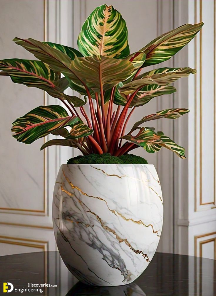 6-engineering-discoveries-transform-your-space-with-modern-planter-pots-stylish-decor-for-small-and-medium-plants.jpg