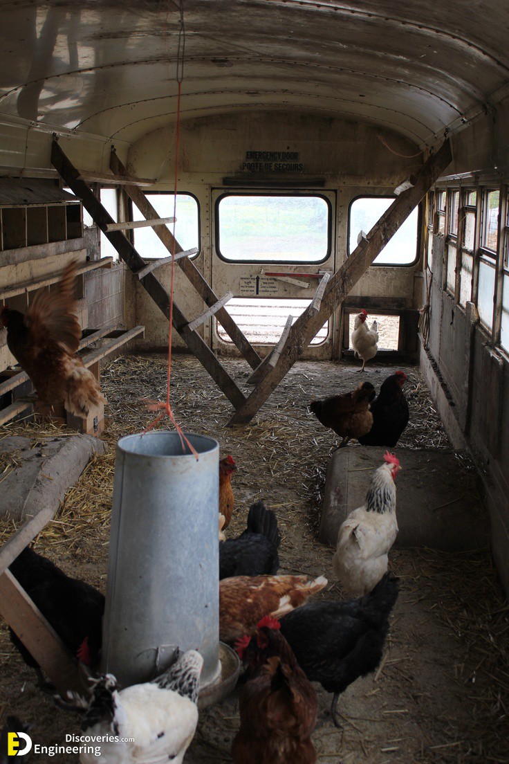 8-engineering-discoveries-creative-chicken-coop-ideas-youll-want-in-your-backyard.jpg