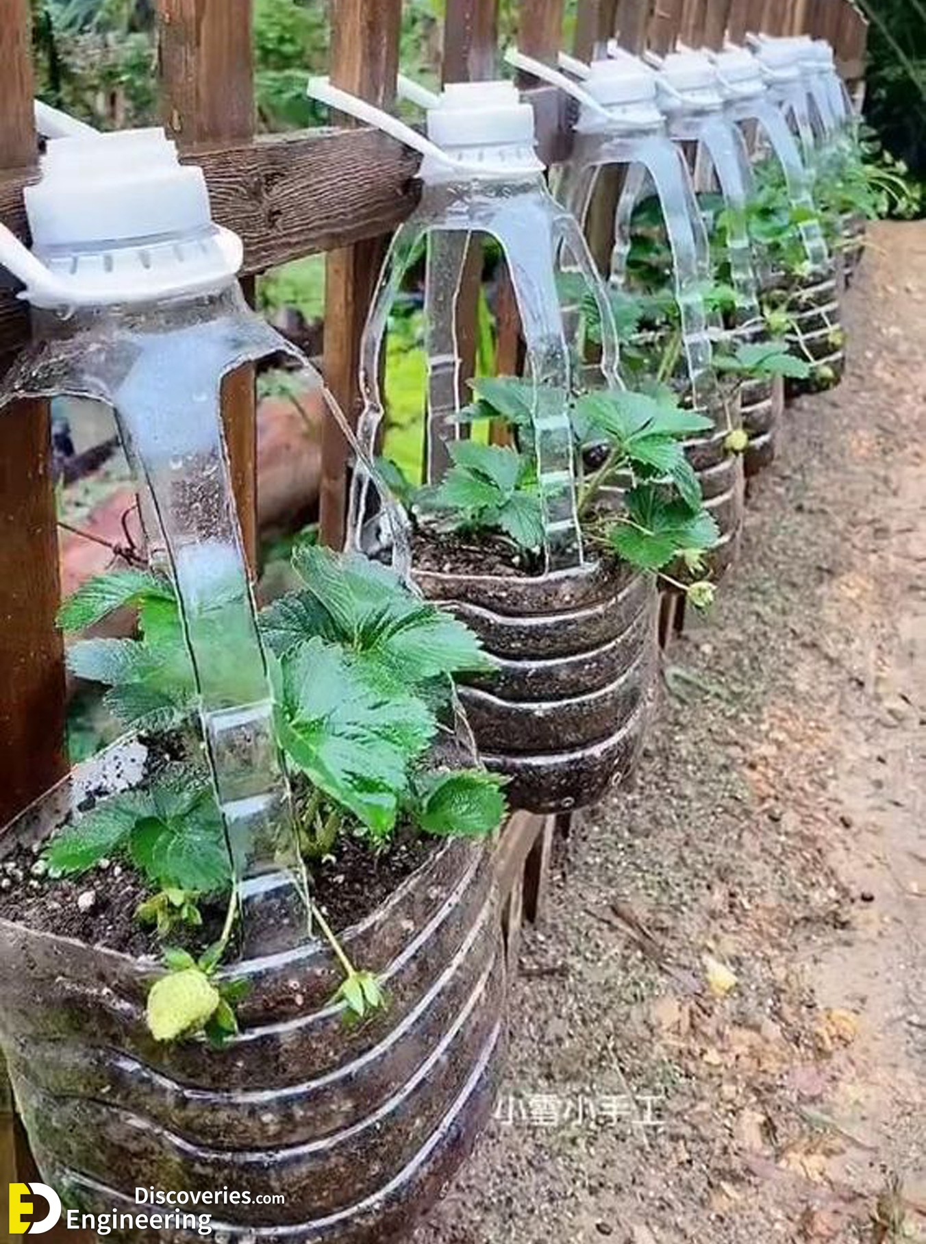 7-engineering-discoveries-from-bottles-to-beauty-unique-ideas-for-upcycling-plastic-waste.jpg
