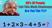 99% Of People Fail This Math Challenge - Are You The 1%?